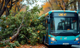 Autobus Atm incidentato contro un albero a Milano