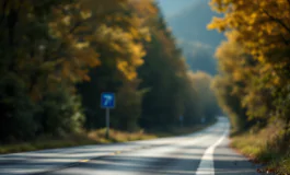 Incidente stradale sulla Strada Statale 77 con un'auto coinvolta