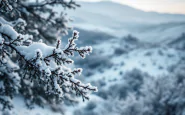 Paesaggio invernale della Sardegna con neve