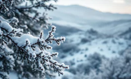 Paesaggio invernale della Sardegna con neve