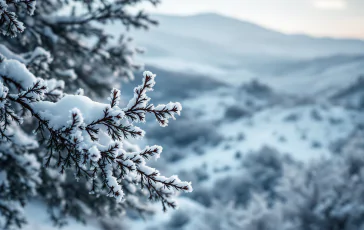 Paesaggio invernale della Sardegna con neve