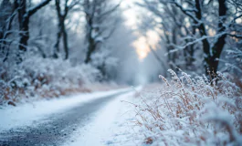 Forti nevicate nel sud di Salerno durante il maltempo