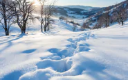 Nevicate in Basilicata che migliorano la crisi idrica