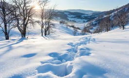 Nevicate in Basilicata che migliorano la crisi idrica