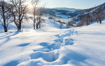 Nevicate in Basilicata che migliorano la crisi idrica