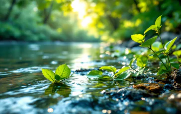 Immagine della tragedia al fiume Natisone con soccorsi