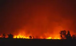 incendi los angeles