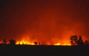 incendi los angeles