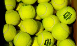 palline da tennis 265x160