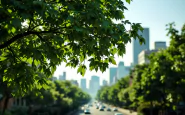 Alberi in una città italiana che combattono il cambiamento climatico