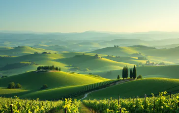 Immagine della Toscana con simboli della legge sul fine vita