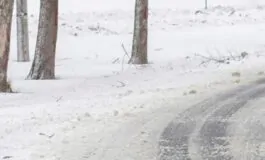 Situazione a Roccaraso, bus arrivati