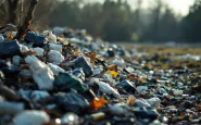 Immagine della discarica abusiva a Crotone con rifiuti