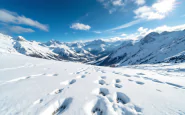 Volpe bianca durante esercitazione in Val Pusteria