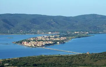 invasione moscerini orbetello